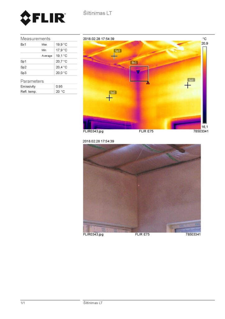 termovizinės apžiūros rezultatai